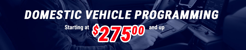 Domestinc Vehicle Programing